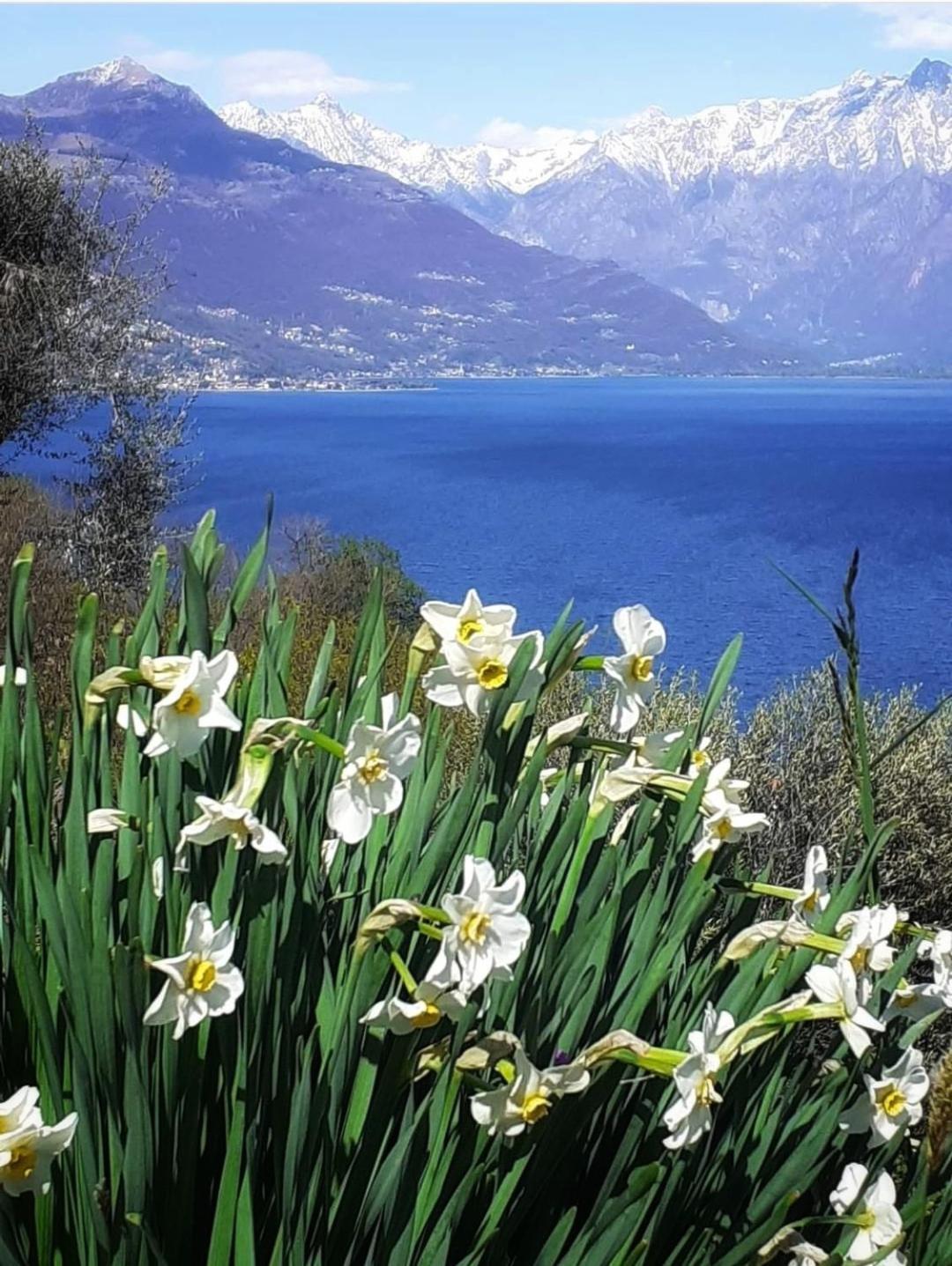 Balcony On Lake Pianello Pianello Del Lario Buitenkant foto